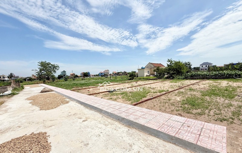 SỐC 14 Lô Đất Giá Rẻ Nhất Quất Lâm  Vị Trí Đẹp, Sổ Sẵn, Mua Là Lãi!